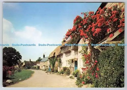 D323518 Winkle Street. Calbourne. Isle of Wight. DRG. J. Arthur Dixon. Dickinson