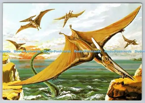 D315474 Pteranodon. Größtes jemals fliegendes Reptil. Novus Verlag. J. Arthur Dix