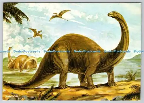 D315475 Brontosaurus. Eines der schwersten Landtiere. Novus Verlag. J. Arthur