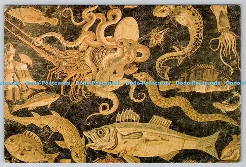 D315476 Museum Neapel. Pompeji 79 n. Chr. Fischmosaik. Postkarte