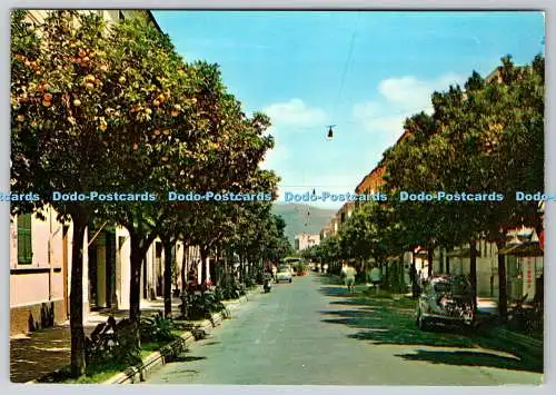 D319915 Diano Marina. Aranci Road. Ghibaudo. Angeli