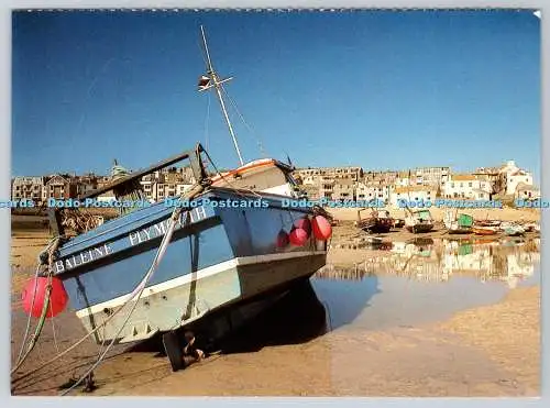 D323540 St Ives. Cornwall. Keith Hewitt FRPS. Cancer Relief Macmillan Fund Nurse