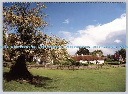 D323541 Schwanengrün. Lyndhurst. Hants. Bill Stevens. Cancer Relief Macmillan Fund