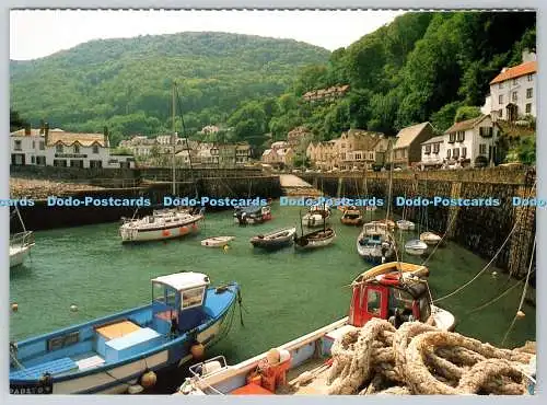 D323542 Lynmouth. Devon. Bill Steven. Cancer Relief Macmillan Fund Krankenschwester Appell.