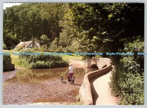D323544 Dunster. Somerset. Ken Howe. Cancer Relief Macmillan Fund Krankenschwester Appell.