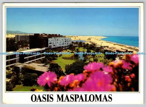 D323577 Oase Maspalomas. Gran Canaria. Maspalomas. Edenfoto. Alberta Fares