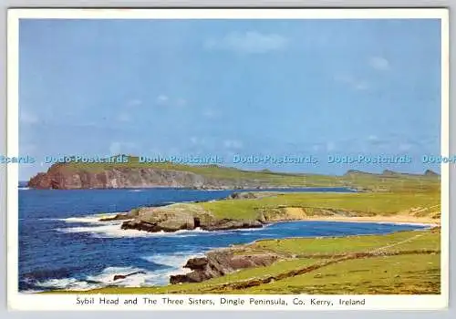 D323585 Sybil-Kopf und die drei Schwestern. Dingle Peninsula. Co Kerry. Irland. C
