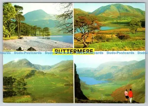 D315548 Buttermere. Kiefern und Krümelwasser. Hoher Felsen und hoher Stil. Tal.