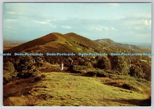 D315550 The Malvern Hills. Sommerabend. Winsor Fox. KNP. Kings Norton Press.