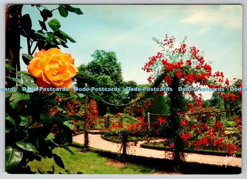 D323611 Frankreich. Paris. Bois de Boulogne. La Roseraie de Bagatelle. E. K. B. Drae