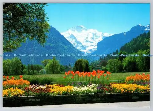 D315609 Interlaken Berner Oberland. Blick auf Jungfrau. Globetrotter. Luzern. Sw