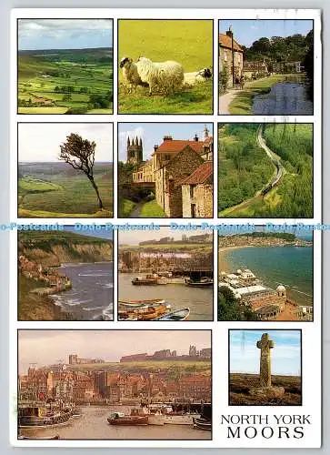 D318426 England. North Yorkshire. North York Moors. Richter. Hastings. C15896. 20