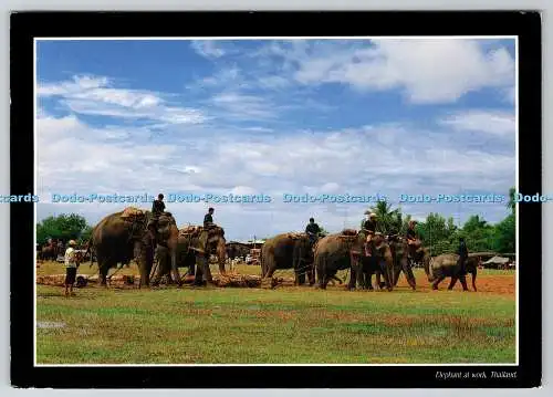 D323686 Elefant bei der Arbeit. Thailand. D. K. Art Co Ltd. Krittaya Kunanuntavisal
