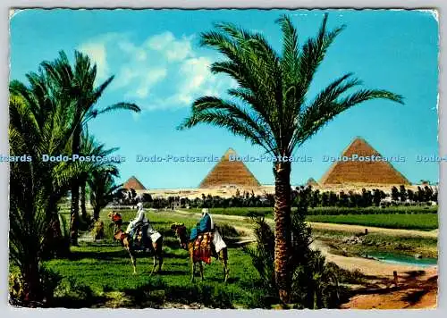 D320091 Die Pyramidengruppe von Gizeh. Lehnert und Landrock. K. Lambelet