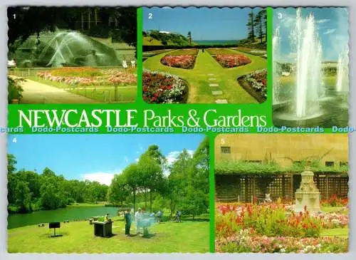 D315675 New South Wales. Newcastle Parks und Gärten. Nucolorvue Productions. NC