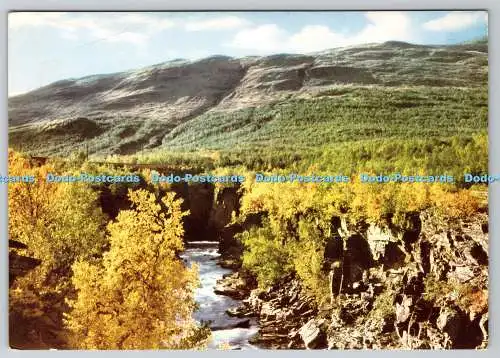 D323730 Abiskojokk med Canyon. Nuolja i bakgrund. Sven Hornell. Riksgransen. S