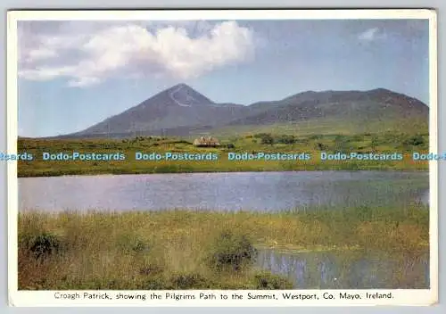 D323731 Croagh Patrick. Pilgerweg zum Gipfel zeigen. Westport. Co Ma