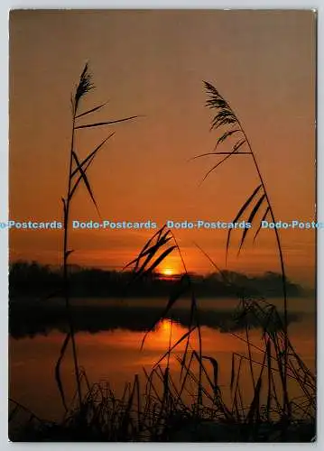 D318495 Sonnenuntergang. Fotokunst Groh. München. Westdeutschland. Nr. 23095 75. Postkarte