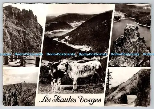 D320120 Les Hautes Vosges. La Cigogne. RP. Multi View