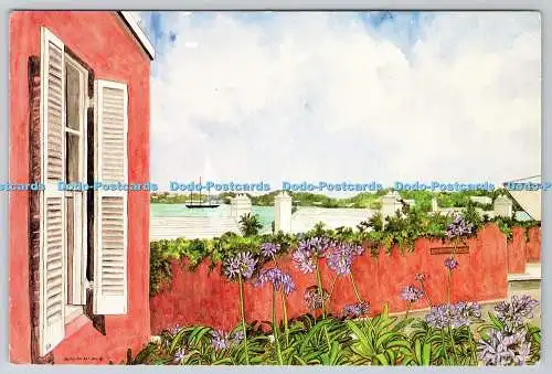 D323745 Lilie des Nilgartens. St Georges. Bermuda. Jackie Jones Holmes. Natio