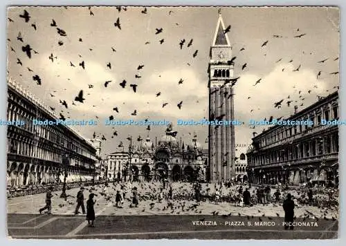 D320123 Venezia. Piazza S. Marco. Piccionata. 1957
