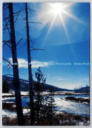 D318523 Winterszene mit Fluss und Wald im Schnee. Postkarten online. United Kin