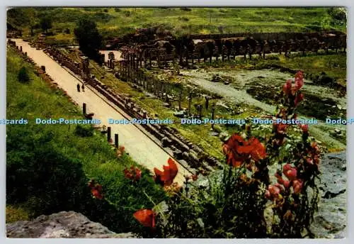 D323774 Ephesus. Marble Street. Ticaret Kartpostallari Foto Türkei. Izmir. Ista