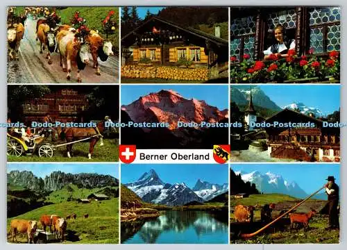 D315721 Schweiz. Berner Oberland. E. Gyger. Adelboden. N. 98900. Postkarte. M