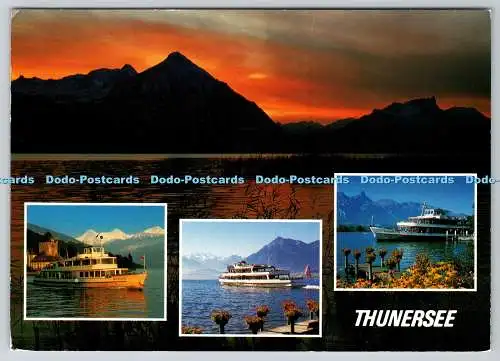 D315727 Schweiz. Thunersee. Berner Oberland. Fotoglob Zürich. Vevey. N. 13