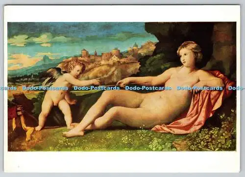 D323784 Venus und Amor. Palma Vecchio. Fitzwilliam Museum. Cambridge. Syndics b