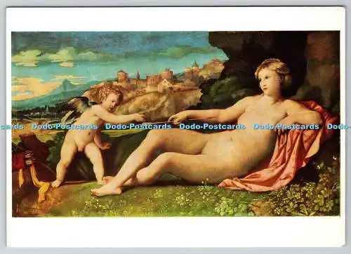 D323787 Venus und Amor. Palma Vecchio. Fitzwilliam Museum. Cambridge. Syndics b