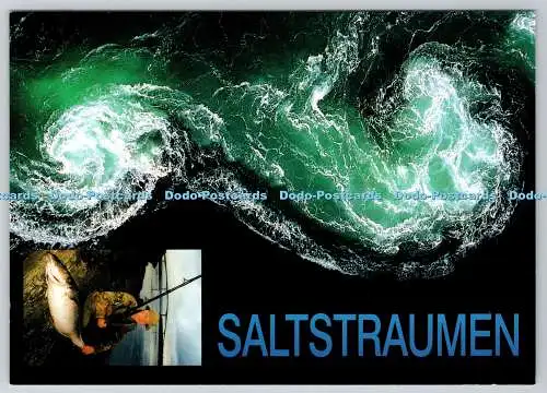 D315746 Norwegen. Saltstraumen. B. R. Tellefsen. Fiskemotiv B. E. Olsen. ZUM FOTO A