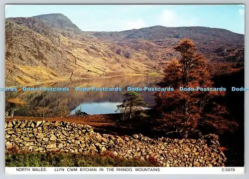 D318620 Nordwales. Llyn Cwm Bychan im Rheingebirge. Judges Limited. Hastin