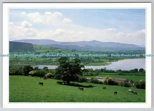D318623 Powys. Brecon. Llangorse Lake. Colin Underhill. Cyfarchion o Gymru. Gree