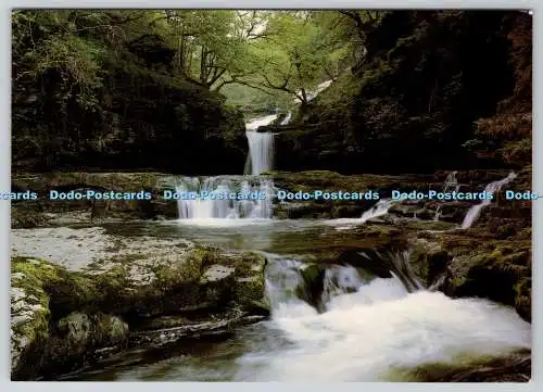 D318625 Middle Clungwyn. River Mellte. Mike Collier. Vale of Neath. Witley Press