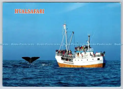 D315813 Norwegen. Andenes. Hvalsafari. ZUM FOTO ALS. Harstad. Postkarte