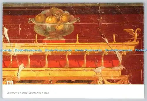 D323969 Oplontis. Villa A. oecus. Archeologica di Pompei. Detail mit transparentem