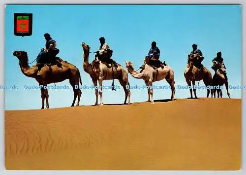 D315926 Typisch Marokko. Meharistes Kamelzug von M Hamid. Escudo de Oro. FISA.