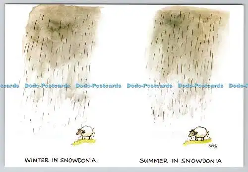 D315931 Winter in Snowdonia. Sommer in Snowdonia. Besley. Cyfarchion o Gymru. Gr