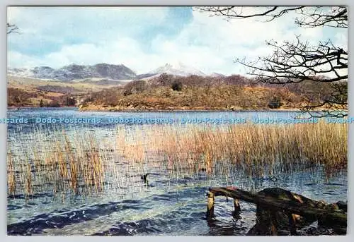 D315956 Coniston Fells von Coniston Water. J. Arthur Dixon. Newport. Farbe Pho