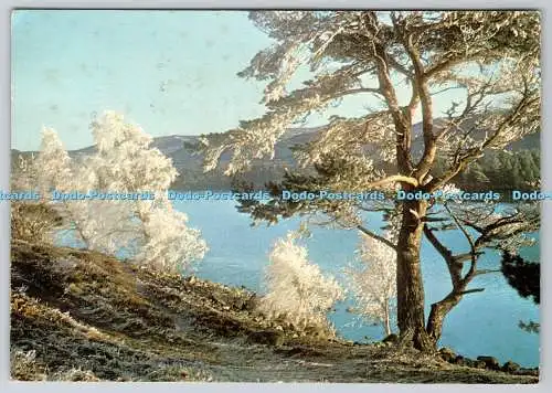 D318780 Inverness Shire. Winter am Loch an Eilean. J. Arthur Dixon. Schottland. DR