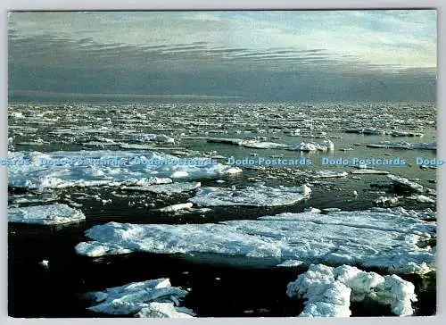 D316049 Spitzbergen. Eis einpacken. Herta Grondal. H. Vontobel Feldmeilen. Schweiz