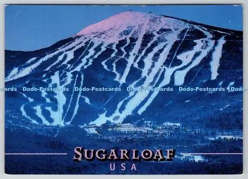 D316065 Zuckerhut. USA. Der Schneeort des Ostens. Maine Scene Inc. 2004