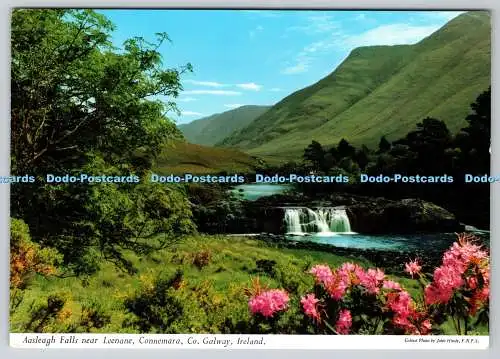 D316087 Aasleagh Falls in der Nähe von Leenane. Connemara. Grafschaft Galway. Irland. John Hinde.