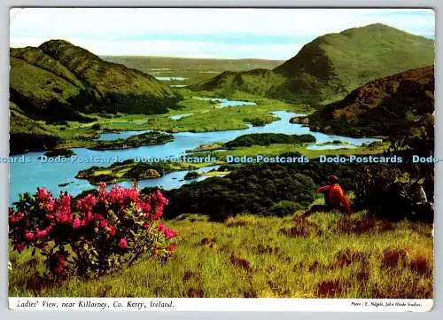 D316088 Damenansicht in der Nähe von Killarney. Co Kerry. Irland. E. Nagele. Hohn Hinde. Du