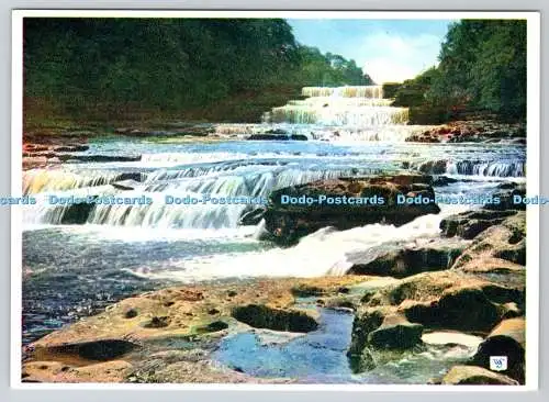 D318911 Yorkshire. Aysgarth. Lower Falls. Walter Scott Farbserie. Bradford.