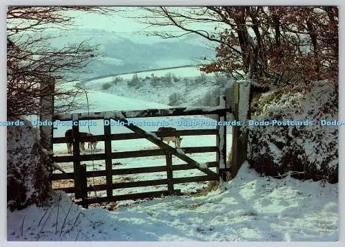 D318933 Somerset. Dulverton. Exmoor Nationalpark. Der Winter kommt nach Exmoor Hill F