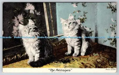 R760434 The Petitioners Cats F Hartmann Real Glossy Serie G 1527 8 Landor