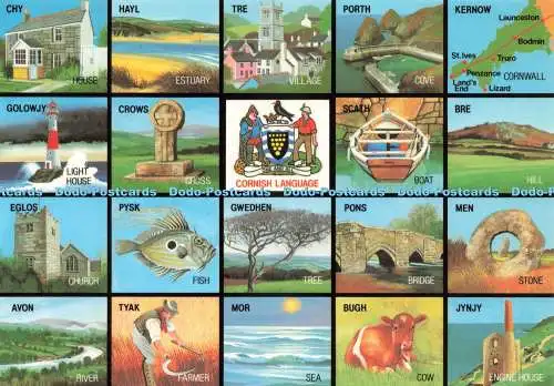 D231450 Cornish Language Chy Sea Cow Engine House Cornish Character Cards Murray