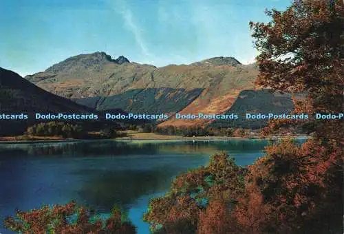 D228838 Loch Long Der Schuster oder Ben Arthur und der Ardgarten Nationalpark aus